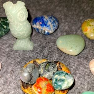 LOVING WILD LIFE bundle ♥️